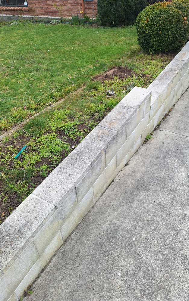 large garden unweeded with 2 bushes in background