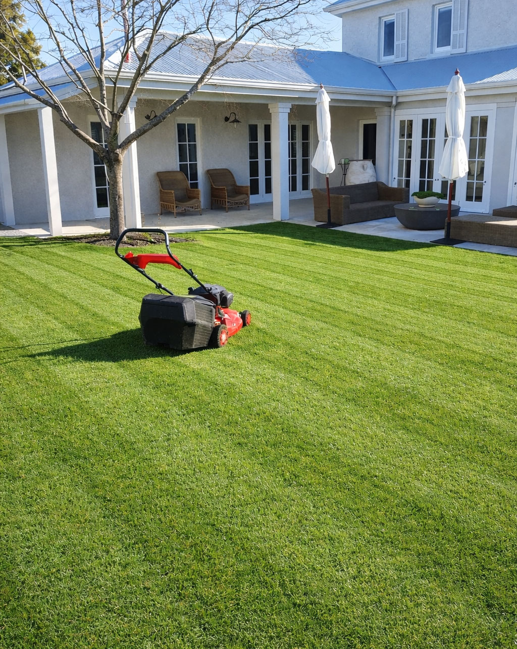 lawn mowing napier in front of nice white house